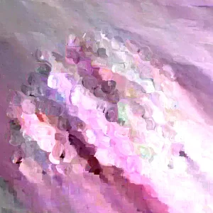 30+ Organic Rainbow Flint Corn Seeds - Multicolors, Ornamental, Non-GMO - Image 1