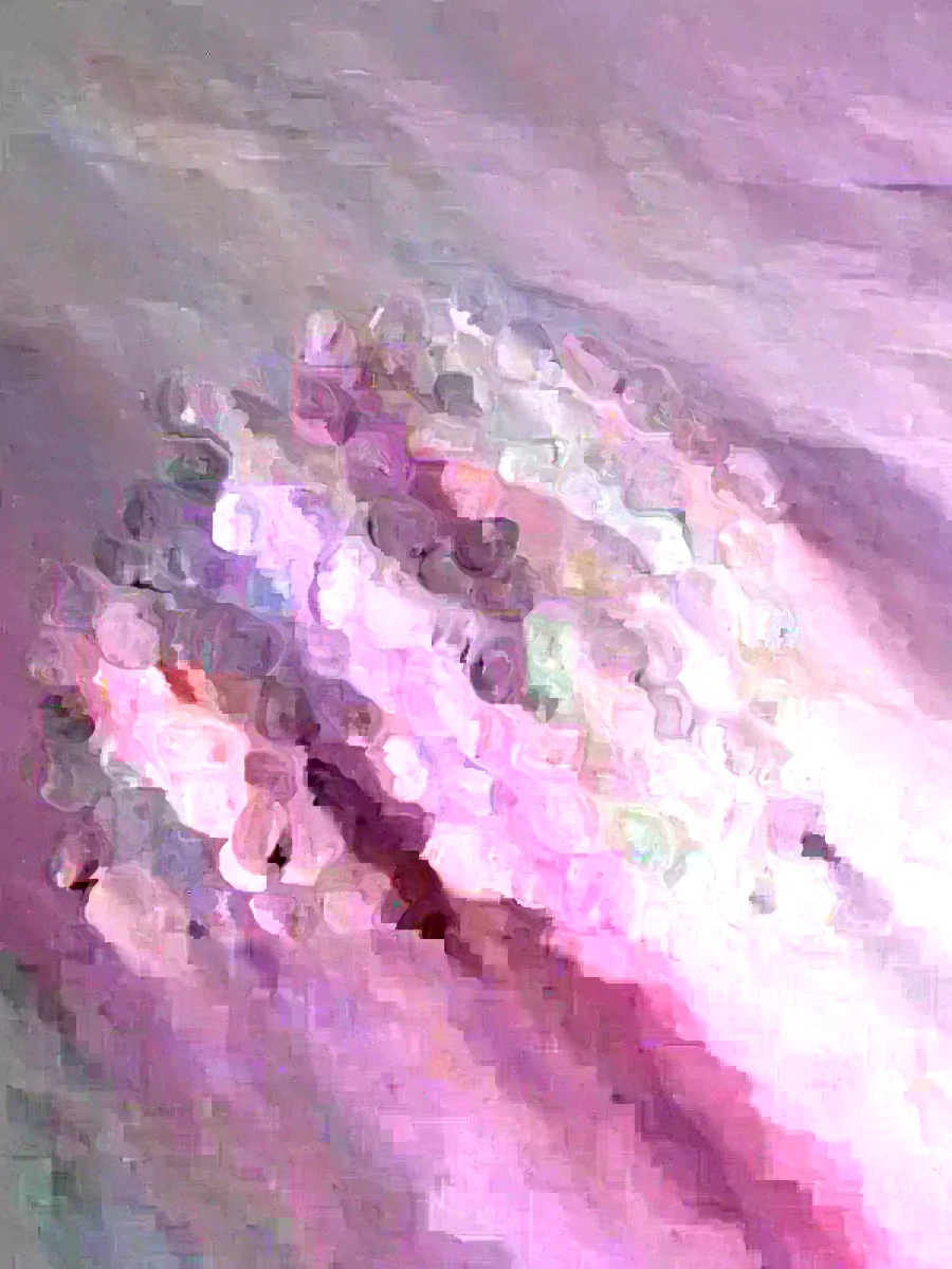 30+ Organic Rainbow Flint Corn Seeds - Multicolors, Ornamental, Non-GMO - Image 1