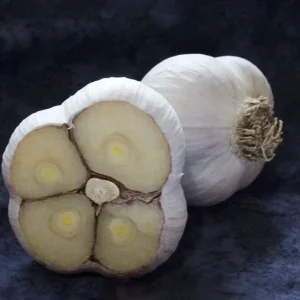 4 oz Organic Garlic Bulbs Mix - Chesnok Red, Music Varieties for Planting, Outdoor - Image 3