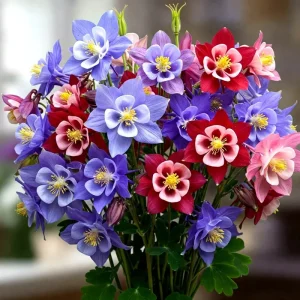 400 Columbine McKana Giants Flower Seeds - Perennial Spring Mix for Bees - Image 1