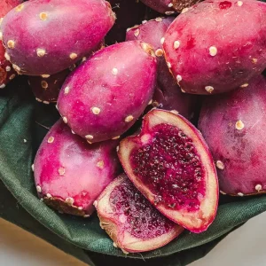 4x Purple Prickly Pear Cactus Cuttings - Edible Nopal Live Plant - Image 3