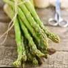 5 Mary Washington Asparagus Crowns - Heirloom 2-Year Perennial Plants - Image 1
