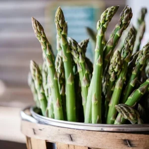 5 Millennium Asparagus Crowns - 2 Year Bare Root Plants - Garden Asparagus - Image 1