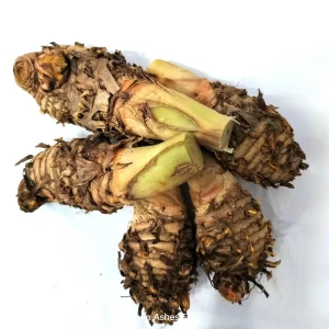 5 Orange Turmeric Mother Rhizomes (Curcuma longa) - Live Plant Organic - Image 1