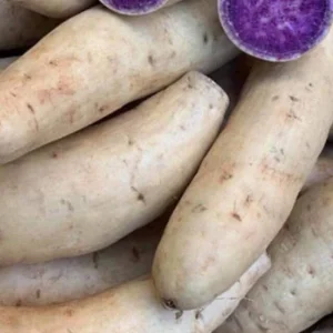 5 Purple Okinawa Sweet Potato Live Plants - Edible Vegetable, Indoor/Outdoor - Image 2