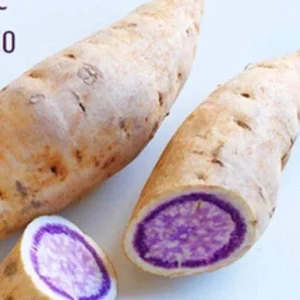 5 Purple Okinawa Sweet Potato Live Plants - Edible Vegetable, Indoor/Outdoor - Image 3