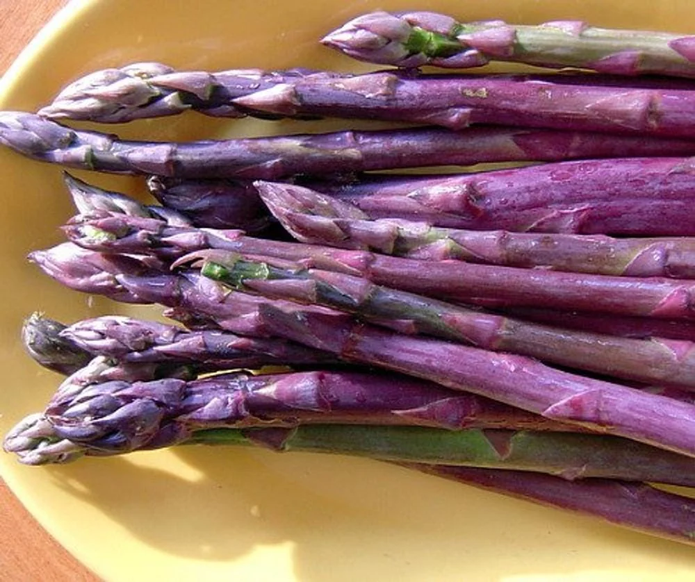 5 Purple Passion Asparagus Bare Roots - Asparagus officinalis, Sweet & Tender - Image 1