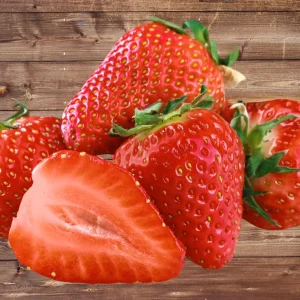 5 Seascape Strawberry Plants - Everbearing Bare Root Live Plants - USDA Zones 4-8 - Image 1