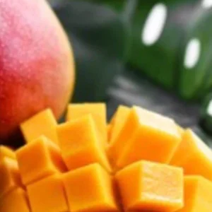 5 Valencia Mango Scions - Live Cuttings for Grafting Fruit Trees - Outdoor - Image 2