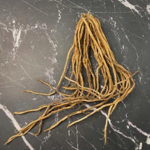 5 Viking KB3 Asparagus Bare Roots - Heirloom Green Asparagus for Cold Climates - Image 4