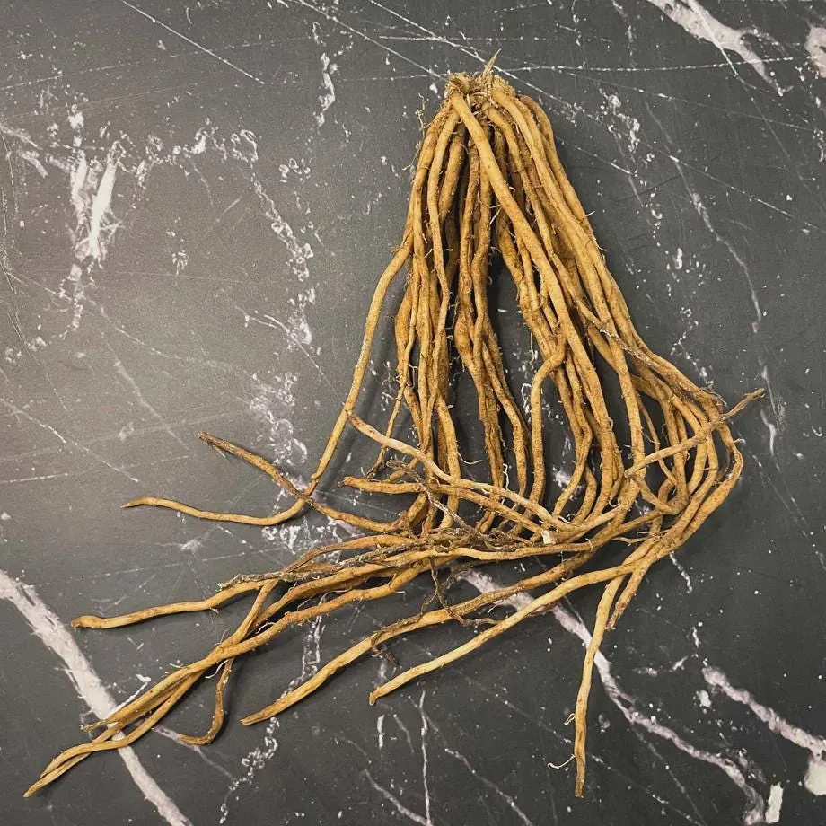 5 Viking KB3 Asparagus Bare Roots - Heirloom Green Asparagus for Cold Climates - Image 7