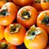 50 American Persimmon Tree Seeds - Diospyros Virginiana, Organic Heirloom Fruit - Image 1