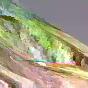 50 Golden Bantam Sweet Corn Seeds - Organic Heirloom Non-GMO for Planting - Image 2