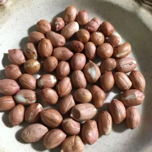 50 Heirloom Tennessee Red Peanut Seeds - Skin Off - Vegetable Seeds Outdoor - Image 2