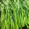 50+ Thai Water Spinach Seeds (Ong Choy / Kangkong) - Garden Vegetable - Image 1