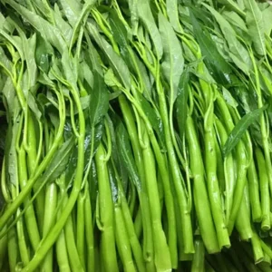 50+ Thai Water Spinach Seeds (Ong Choy / Kangkong) - Garden Vegetable - Image 1