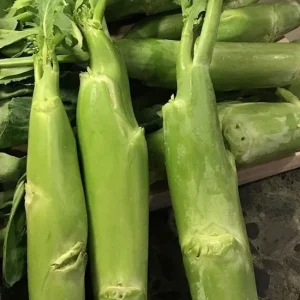 500+ Organic Chinese Big Stem Gai Lan Seeds - Non-GMO Vegetable Seeds - Image 1