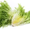 500+ Organic Frisee Endive Seeds - Heirloom Non-GMO Vegetable for Garden - Image 1