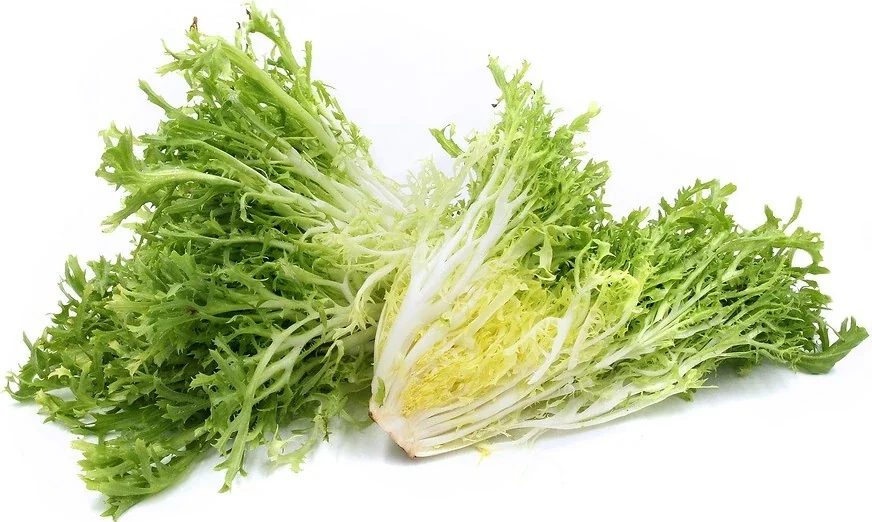 500+ Organic Frisee Endive Seeds - Heirloom Non-GMO Vegetable for Garden - Image 1