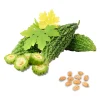 Bitter Melon seeds