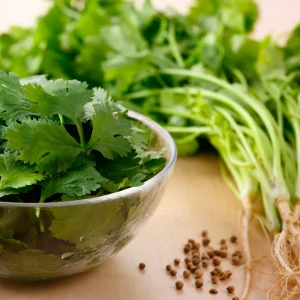 Cilantro Seeds For Planting
