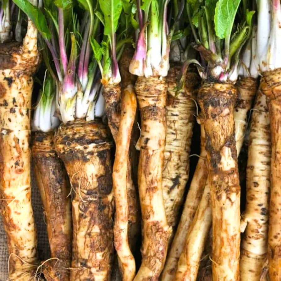 Horseradish Crowns