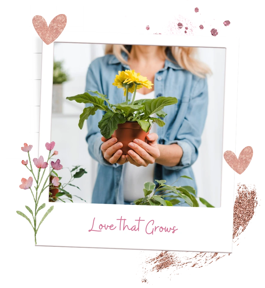 Spring-collection-banner-1