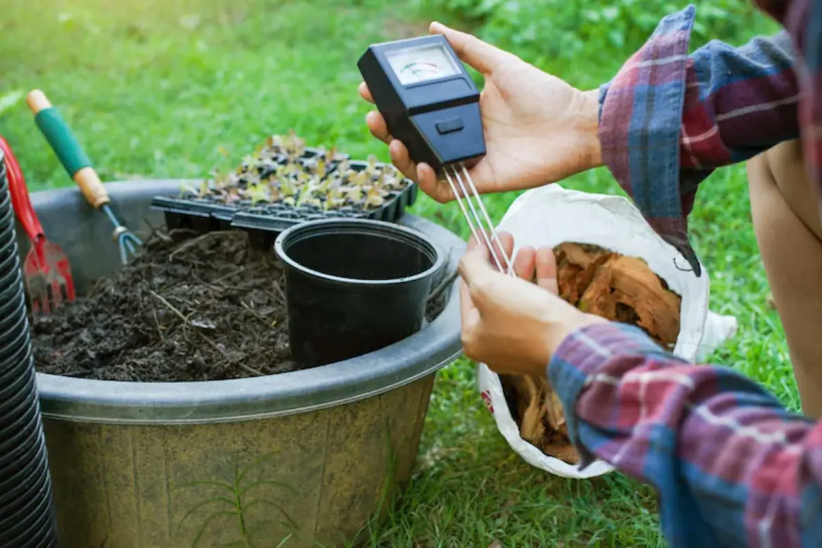 A soil pH test kit being used in a garden to check nutrient balance