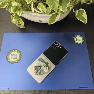 Acrylic Leaf Design Phone Stand - Foldable & Stylish Grip Holder - Garden Accessory - Image 6