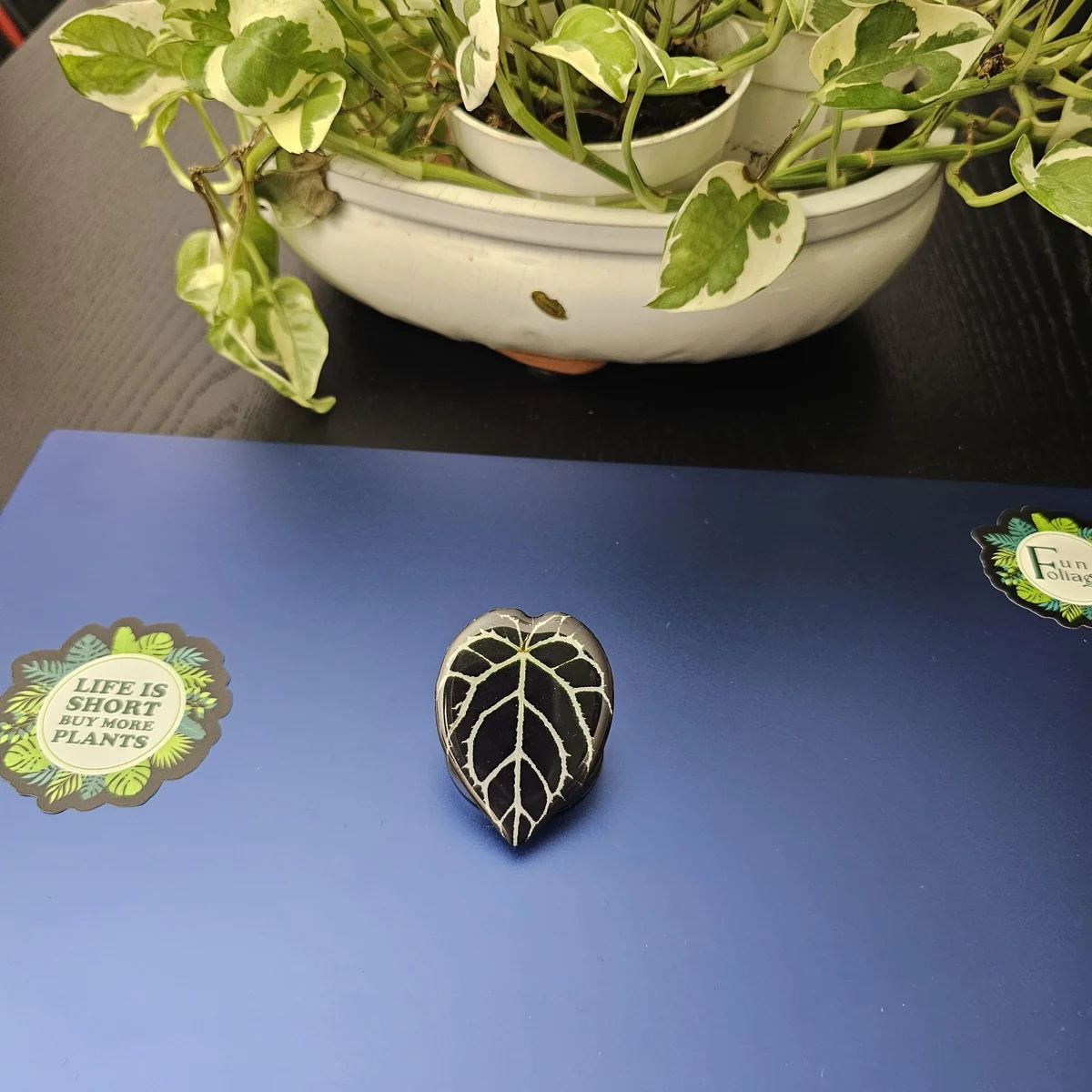 Acrylic Leaf Design Phone Stand - Foldable & Stylish Grip Holder - Garden Accessory - Image 7