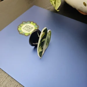 Acrylic Leaf Design Phone Stand - Foldable & Stylish Grip Holder - Garden Accessory - Image 8