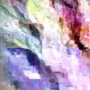 African Potato Mint Live Plant – Organic – 3 Plants in Cup – 5-8