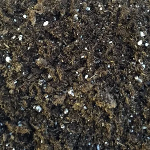 All Natural General Purpose Potting Soil Mix - 8 Quart for Most Plants - Image 1