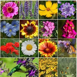 All Perennial Wildflower Seed Mix - 1200+ Heirloom Seeds for Pollinators - Image 1