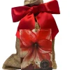 Amaryllis Charisma Bulb Gift Set - Easy Grow Indoor Flower Bulb with Burlap Bag - Image 1