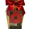 Amaryllis Holiday Gift Growing Kit - Red Lion Bulb, Gold Pot, 14-16 Bulb Size - Image 1
