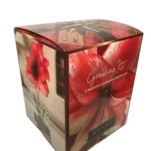 Amaryllis Kit Charisma - Indoor Deep Red Flowering Bulb Plant - 20-24 Inches Tall - Image 1