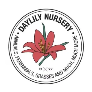 Amaryllis Red Lion Bulb Growing Kit - Gold Tin Pot, Bulb Size 14-16, 20-24