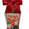 Amaryllis Sparticus Bulb Growing Kit with Rustic Tin Pot - Holiday Gift - Image 1