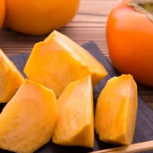 American Persimmon Live Plant 4