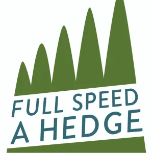 American Pillar Arborvitae Live Plant - Thuja occidentalis - 4