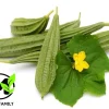Angled Luffa Seeds - Ridged Sponge Gourd Seeds (Mướp Khía) for Garden - Image 1