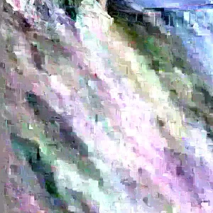 Annona Muricata Graviola Soursop Guanabana Live Fruit Tree - 12-16 inch Tropical - Image 2