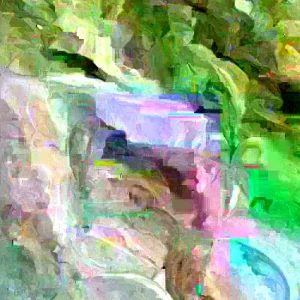 Annona Muricata Mountain Soursop Tree Live Plant 5-9 Inches Tall - Organic Growth - Image 3