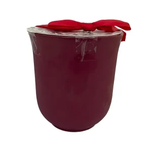 Apple Blossom Amaryllis Kit - Bordeaux Ceramic Planter, 24/26 cm Bulb - Image 2