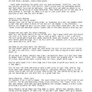 Bartzella Itoh Yellow Peony Live Plant Bareroot – Huge Double Blooms, Zone 4-9 - Image 6