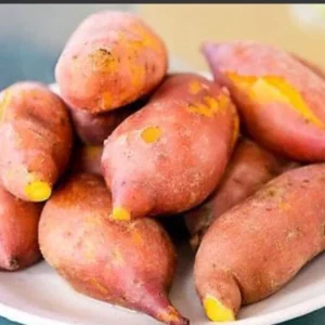 Beauregard Sweet Potato Plants - 5 Organic Live Slips for Growing Full Sun - Image 6