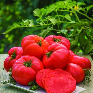 Beefsteak Tomato Seeds - Heirloom, Non-GMO Vegetable Seeds for Garden - Image 1