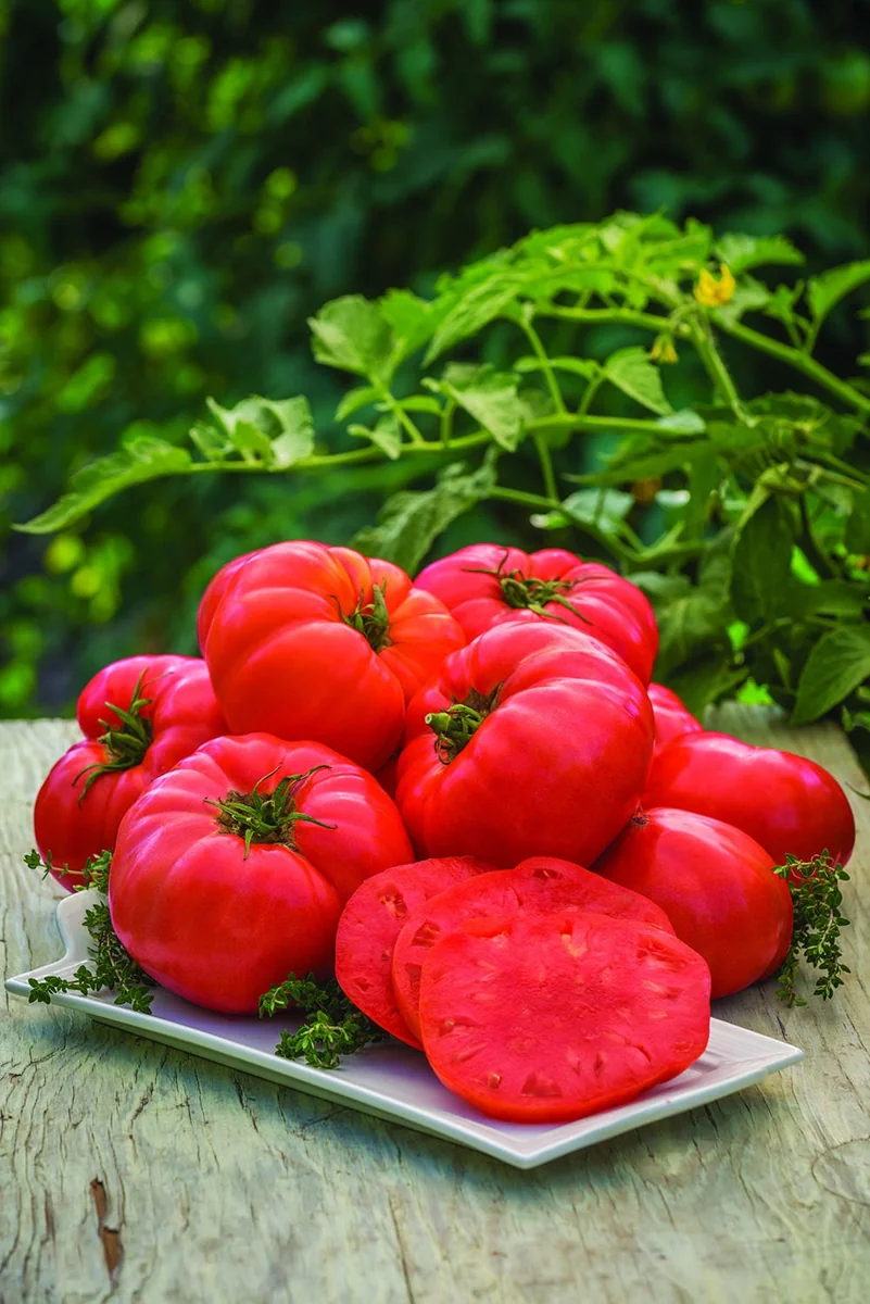 Beefsteak Tomato Seeds - Heirloom, Non-GMO Vegetable Seeds for Garden - Image 1