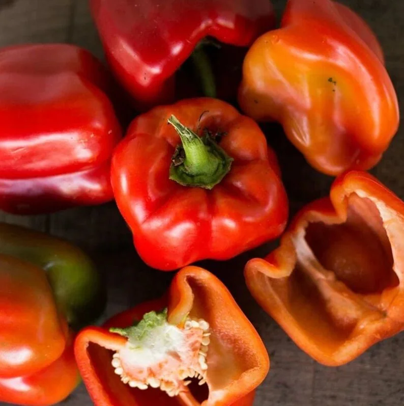 Big Red Sweet Bell Pepper Seeds - Non-GMO, Open-Pollinated Vegetable Seeds - Image 2